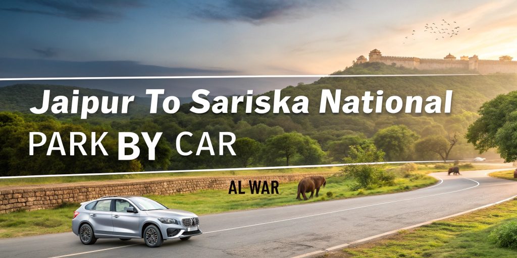 Jaipur to Sariska National Park by Car