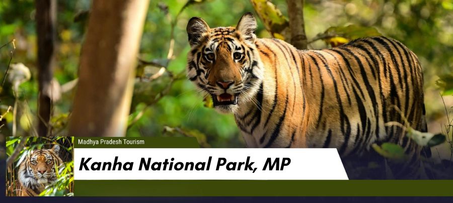 Kanha National Park