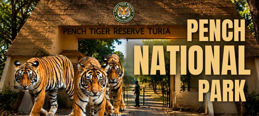 Pench National Park