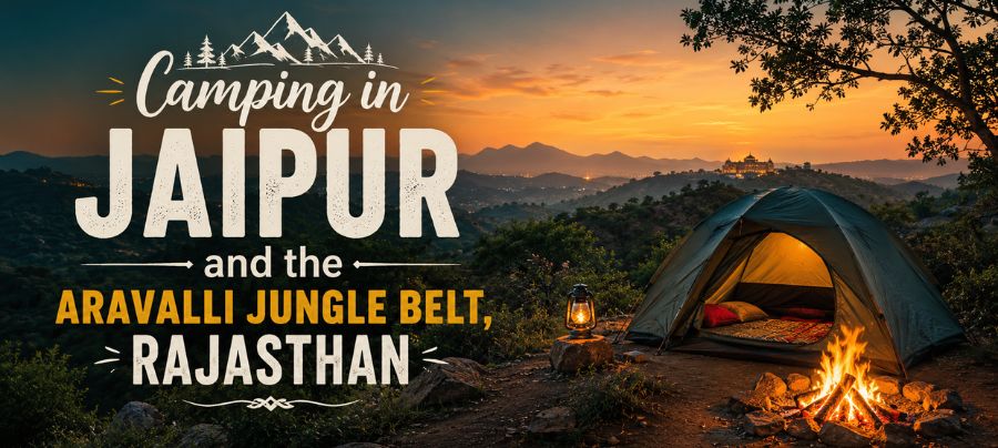 Camping in Jaipur and the Aravalli Jungle Belt